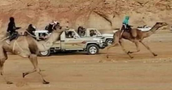 فوز قبيلة الترابين والمزنية فى سباق الزلقه بنوبيع.. فيديو