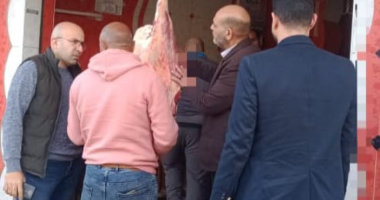 ضبط نصف طن دواجن غير صالحة للاستهلاك فى حملة بيطرية بالمنوفية.. صور