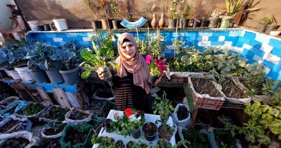 بنات المنوفية ذكاء وشطارة.. دينا حولت سطح بيتها لجنة بزرع الورد والخضرة