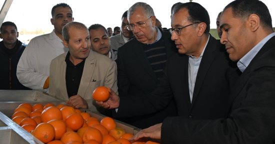 رئيس الوزراء: القطاع الخاص يُتيح العديد من فرص العمل المباشرة وغير المباشرة