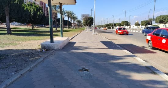 طقس الإسماعيلية.. رياح نشطة ومائل للبرودة ليلا والصغرى 11 درجة "صور"