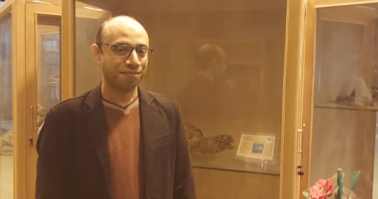 شاهد أول متحف للحياة البرية على مستوى الجامعات بجامعة قناة السويس