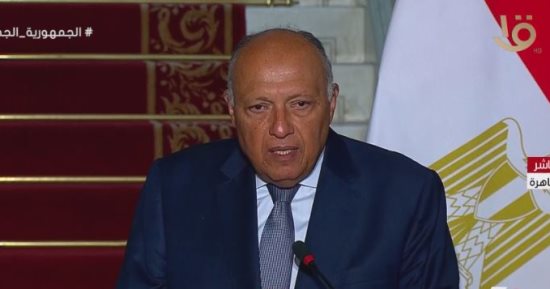 وزير الخارجية: نرفض النزوح القسرى لسكان غزة ونعمل على احتواء الأزمة