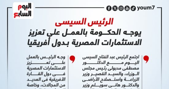 الرئيس السيسى يوجه الحكومة بالعمل على تعزيز الاستثمارات بدول أفريقيا.. إنفوجراف