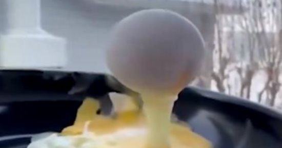 عندما تمنحك الطبيعة تحفا فنية.. شاهد كيف تتجمد المشاهد الحية فى كندا