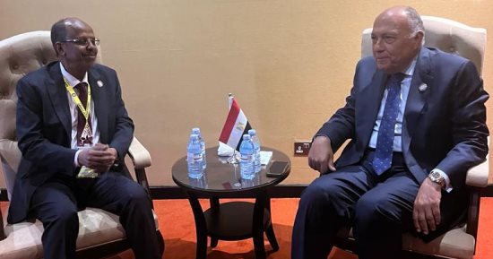 ‎شكري يبحث مع نظيره الجيبوتى تطورات الأوضاع فى السودان والصومال