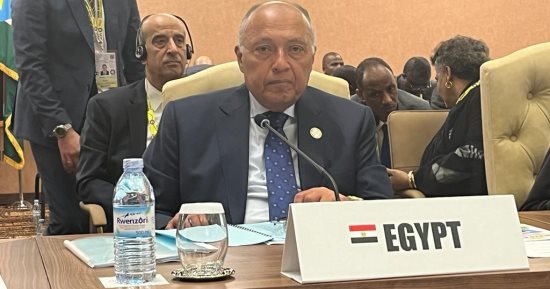 وزير الخارجية: منطقة الشرق الأوسط تشهد أزمة واسعة النطاق إثر العدوان الإسرائيلى على غزة.. شكرى: نجدد دعوتنا للأطراف السودانية للالتزام بوقف إطلاق النار.. ونعارض أية إجراءات من شأنها التعدى على سيادة الصومال