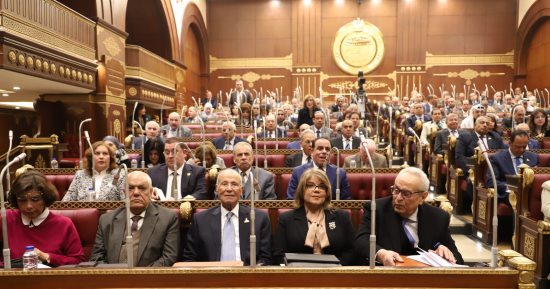 نواب بالشيوخ: التأمين الصحى الشامل حلم كل المصريين ومتمسكين بتنفيذه