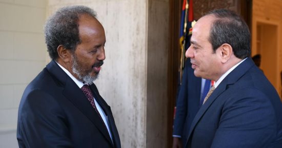 نواب: لقاء الرئيس السيسي ونظيره الصومالى يؤكد موقف مصر التاريخى لدعم القارة
