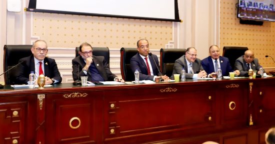 "صحة الشيوخ" توصي بضرورة توفير نواقص أدوية ليس لها بدائل وضبط سوق الدواء