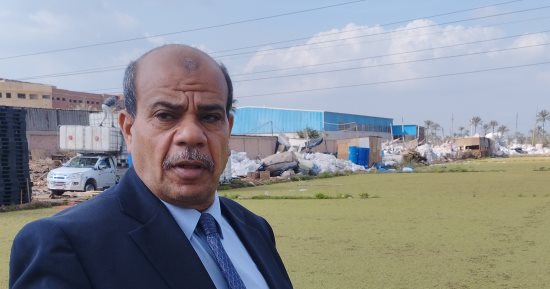 زراعة الأزولا طعام للدواجن بنصف قيمة الأعلاف لاأول مرة فى الشرقية