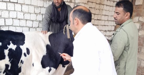 بحوث الصحة الحيوانية ينفذ قَافلة بيطرية لدعم صغار المربين والمزارعين بسوهاج