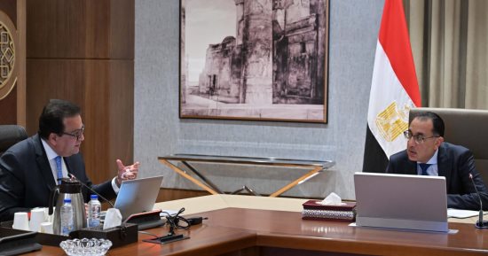 رئيس الوزراء يستعرض مقترح مشروع مدينة المستشفيات والمعاهد التعليمية للبحوث.. صور