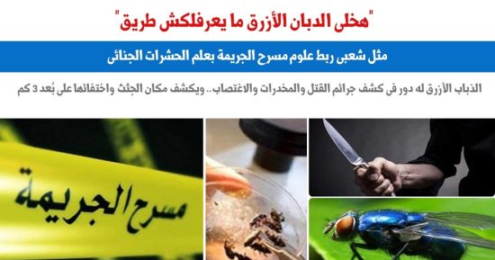 دور "الدبان الأزرق" فى الكشف عن مكان الجثث على بعد 3 كيلو مترات.. برلمانى  