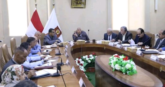 إدراج المتقاعسين عن سداد مستحقات أراضي الدولة بالوادى الجديد ضمن الموجة الـ 22 من الإزالات