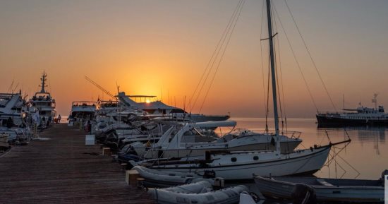 مصر تحتضن بطولة Red Sea IGFA لأول مرة فى الشرق الأوسط بمشاركة 7 دول 