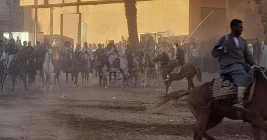 خيالة الصعيد يتسابقون فى حلقة مرماح الشيخ وافى بقنا.. لايف