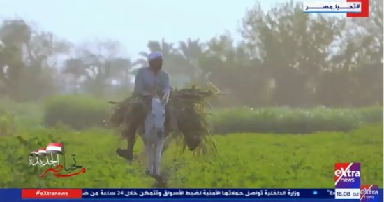 "تحيا مصر الجديدة" يعرض تقريرا عن "كارت الفلاح.. منظومة حفظت حق الفلاح"