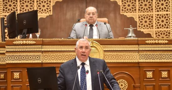 الحجر الزراعى ينجح في تسهيل إبحار شاحنة محملة بـ63 ألف طن قمح من موانئ روسيا