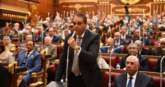 الحكومة للشيوخ: كل دولار يأتى من الخارج يدخل البنك المركزى يعاد استخدامه