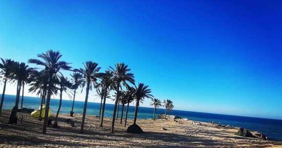 في ذكري 30 يونيو.. كيف نجحت الدولة فى تنمية سيناء والقضاء على الارهاب؟.. مشروعات قائمة ومستهدفة ب 1.2 تريليون جنيه وتشجيع القطاع الخاص بمشاركة الحكومة للعمل فى المجالات الزراعية والصناعية والسياحية