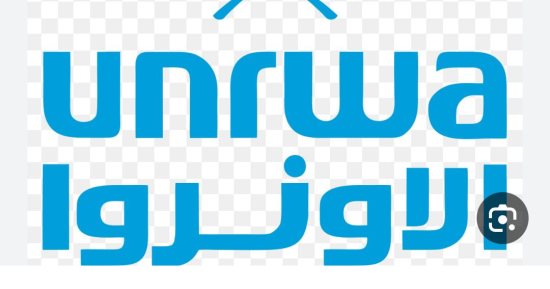 متحدث الأونروا لـ"اليوم السابع": أنهينا عقود 8 موظفين بالمنظمة فور اتهام إسرائيل بمشاركتهم فى هجوم أكتوبر.. ويؤكد: ما لدينا من تمويل يكفى لنهاية فبراير.. وقرار قطع المساعدات يهدد الاستقرار الإقليمى