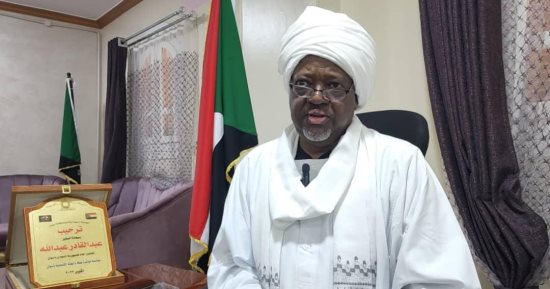 مصر الحضن الكبير.. احتضنت السودانيين وقادت جهود تهدئة الأزمة السودانية.. قنصل السودان يشكر القاهرة على حسن الاستضافة.. والسفير عبد القادر: توجيهات الرئيس السيسى ترجمت وتم تسخير الإمكانات لاستقبال الأشقاء