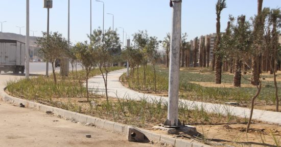 محافظة الجيزة تكشف تفاصيل تطوير المناطق المحيطة بالمتحف المصرى الكبير