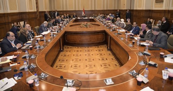 وفد "الصداقة الألمانية المصرية" يبحث مع لجنة الزراعة بالنواب أوجه التعاون