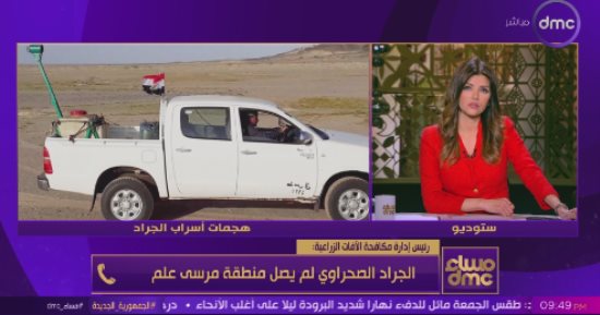 وزارة الزراعة: أسراب الجراد لم تتعد شلاتين ولا صحة لوصولها مرسى علم