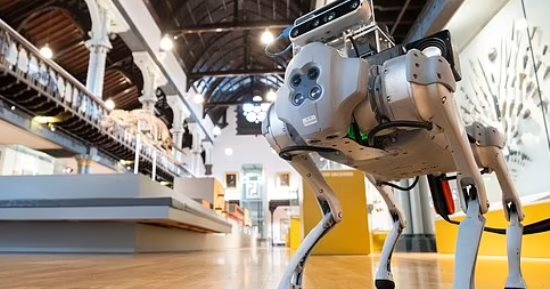 روبوت كلب يعمل بالذكاء الاصطناعى ويقود المكفوفين عبر المتاحف ومراكز التسوق