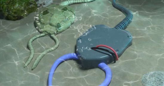 علماء يطورون روبوتات مرنة تستوحي حركتها من المخلوقات البحرية القديمة