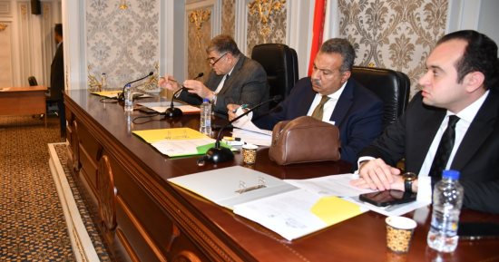 "صحة النواب" توصى بإنشاء معهد الأورام بالشرقية وتوفير أجهزة لمعهد الكبد  