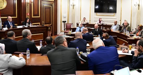 "مشروعات النواب": ريادة الأعمال أولوية لدعم الصناعات الصغيرة      