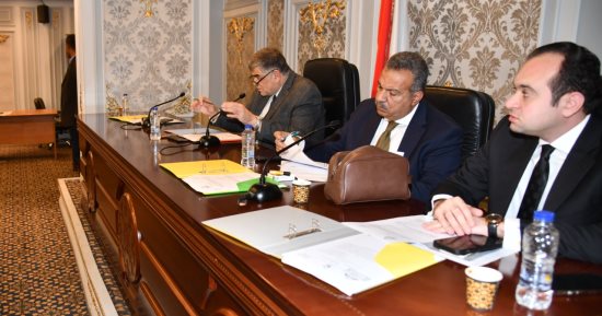 "صحة النواب" تناقش إدراج وحدة صحية بعمرو بن العاص بالشرقية فى الخطة