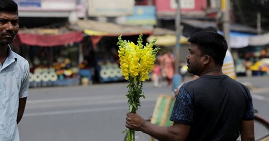احتفالات عيد الحب فى الهند
