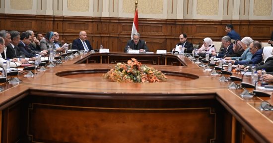 "صحة قنا": توجيهات يومية من المحافظ بإجراءات وقائية فورية من الأمراض المتوطنة