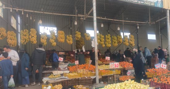 شاهد كل أنواع الخضراوات والفاكهة بسعر الجملة فى معرض محافظة الشرقية.. فيديو
