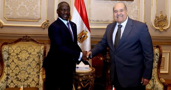 رئيس الشيوخ يشيد بدعم كوت ديفوار لمصر فى رفض التهجير القسرى للفلسطينيين 