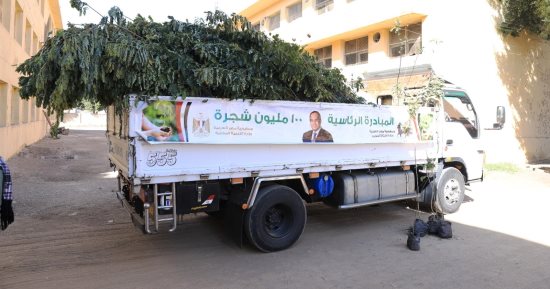 محافظة سوهاج تتسلم 46 ألف شجرة من التنمية المحلية لزراعتها بالطرق الرئيسية