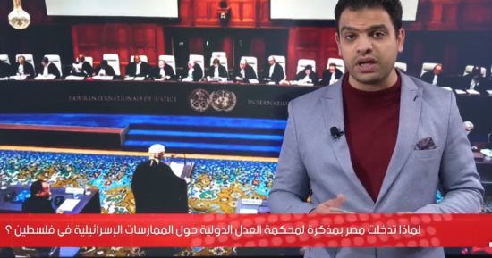 لماذا تدخلت مصر بمذكرة لمحكمة العدل الدولية حول ممارسات إسرائيل؟.. فيديو