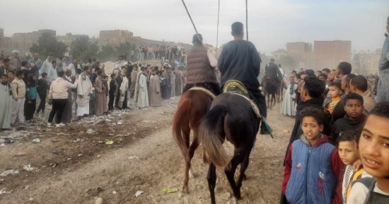 "كأنه ماتش كورة".. الآلاف يتابعون مرماح سيدى عبد الرحيم القنائى.. فيديو