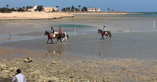نشاط للرياح والأمواج بالبحر الأحمر مع رواج سياحى بحرى على الجزر.. لايف     