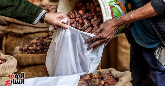 بلح أسوان يغزو سوق الساحل بالقاهرة