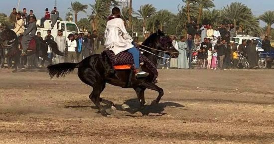 الفارس ينزل الميدان.. المرماح فلكلور شعبى يتوارثه أبناء القبائل بالصعيد