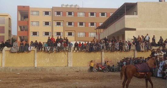 بحضرة القنائى.. الخيالة يشاركون فى سباق مرماح مولد سيدى عبد الرحيم.. فيديو