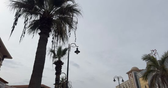 طقس بورسعيد الآن.. غيوم في السماء وهبوب رياح باردة "فيديو"