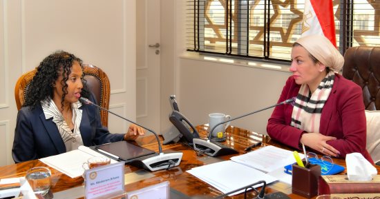 المديرة الإقليمية بالبنك الدولى: مصر شريك أساسى فى المنطقة بملف المناخ والبيئة 