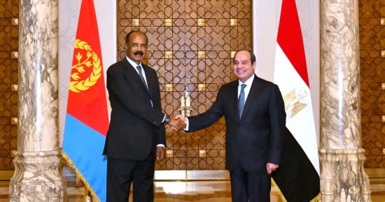 الرئيس السيسى ونظيره الإريترى يبحثان التطورات بالبحر الأحمر والأوضاع بالسودان والقرن الأفريقي ويؤكدان ضرورة احتواء الموقف وعدم التصعيد.. يتوافقان حول احترام سيادة الصومال ودعمها في رفض أي إجراء ينتقص من سيادتها