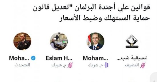التنسيقية تناقش تأثير تعديل قانون حماية المستهلك فى ضبط الأسواق